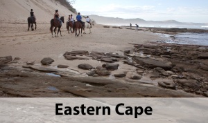 Eastern Cape
The Sunshine Coast, bursting with adventure and coastal charm. Home to one of the world’s top surfing spots